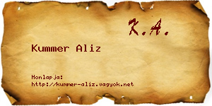 Kummer Aliz névjegykártya